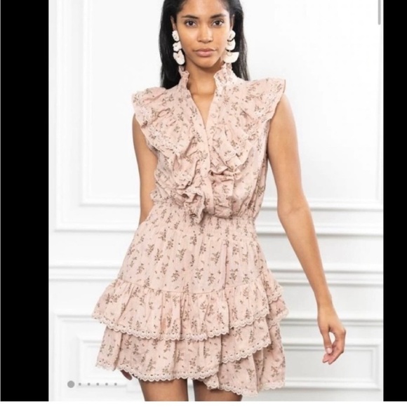 the shirt by rochelle behrens peach pink ruffled floral sleeveless dress size XS - Picture 2 of 10